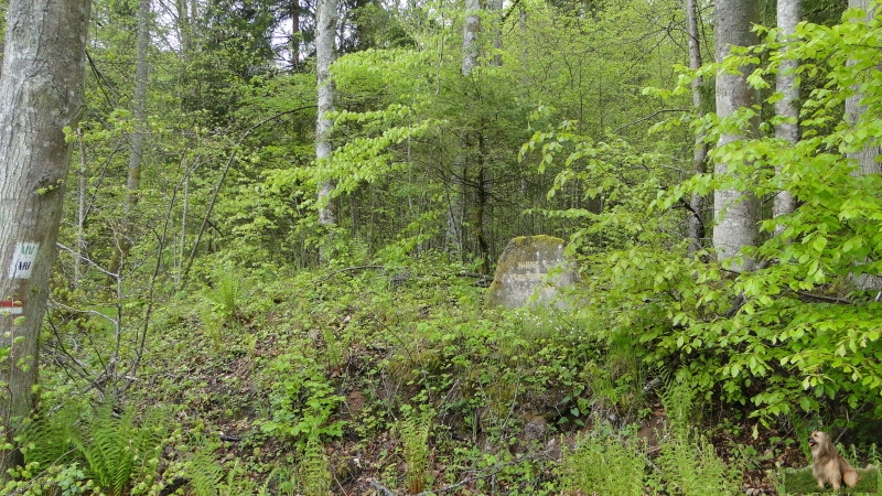 Ritterstein Nr. 201-3c Ruine Fauner Hof.JPG - Ritterstein Nr.201 Ruine Faunerhof